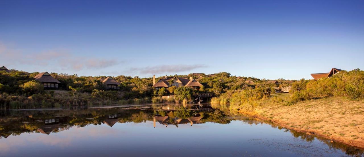 Lalibela Game Reserve - Kichaka Lodge Paterson Eksteriør billede