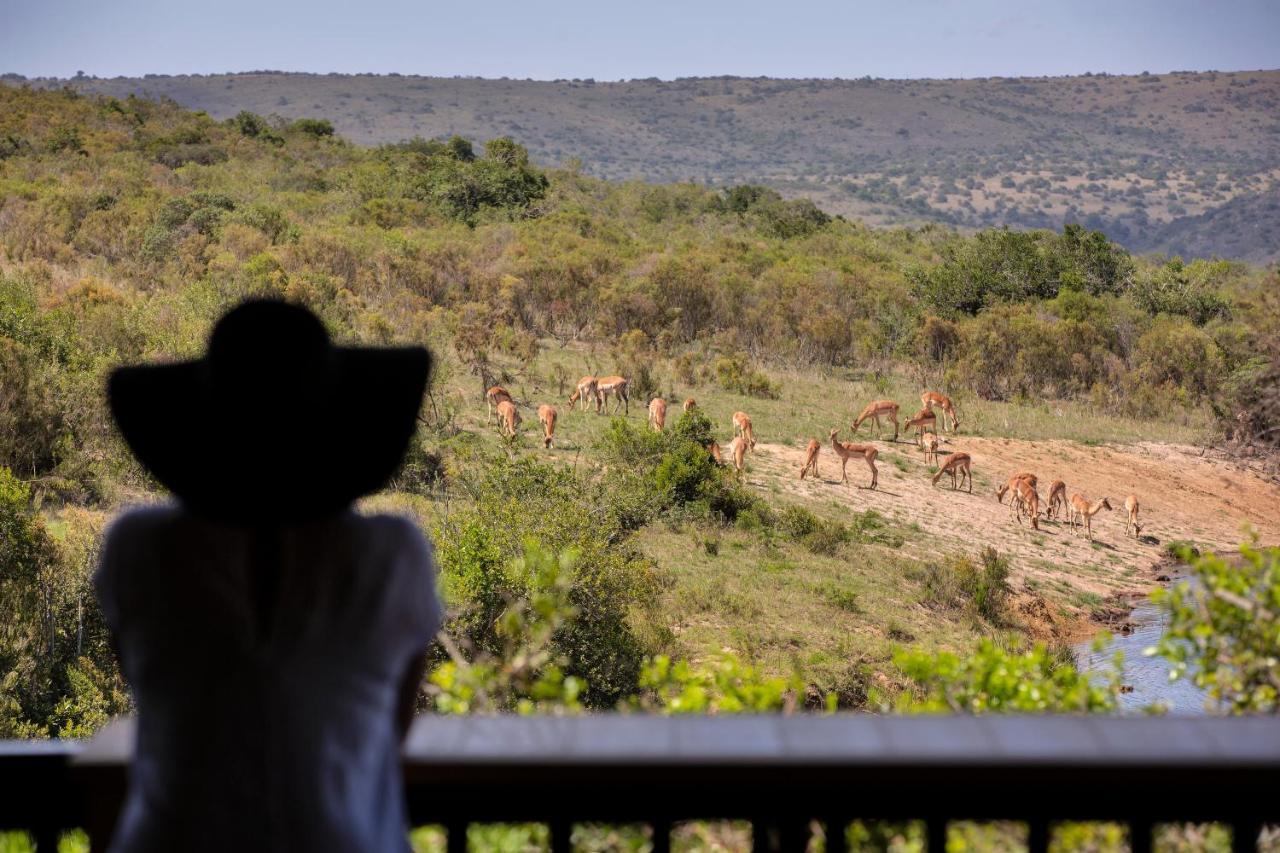 Lalibela Game Reserve - Kichaka Lodge Paterson Eksteriør billede